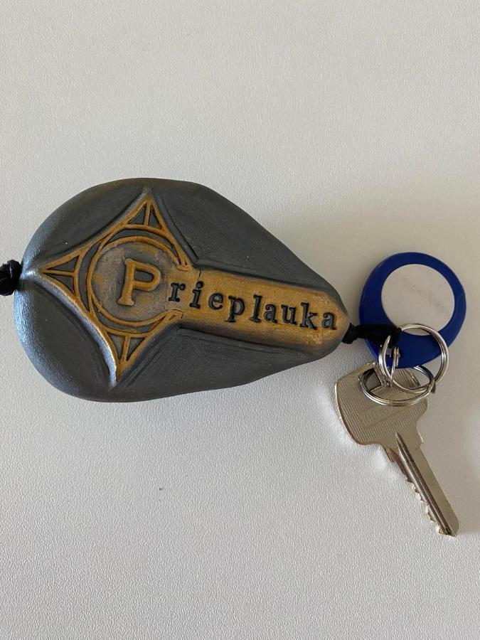 Rezidencija "Prieplauka" Alytus Exterior foto
